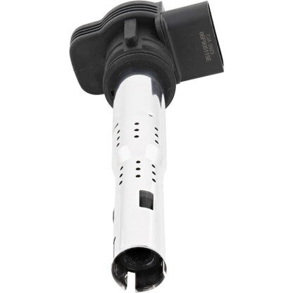 Holstein 2IGC0035