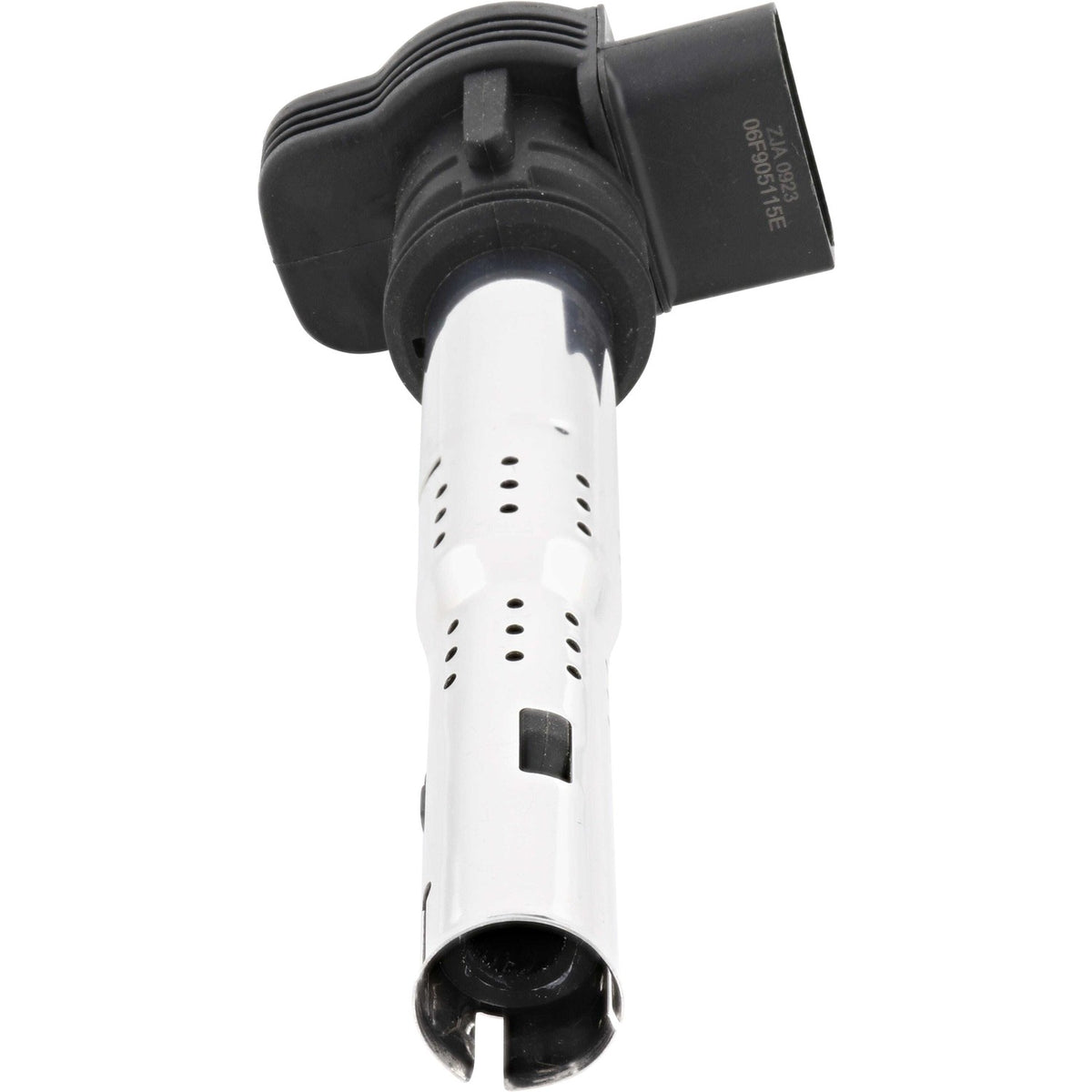 Holstein 2IGC0035