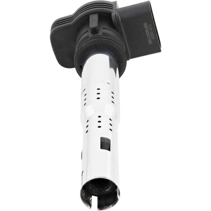Holstein 2IGC0035