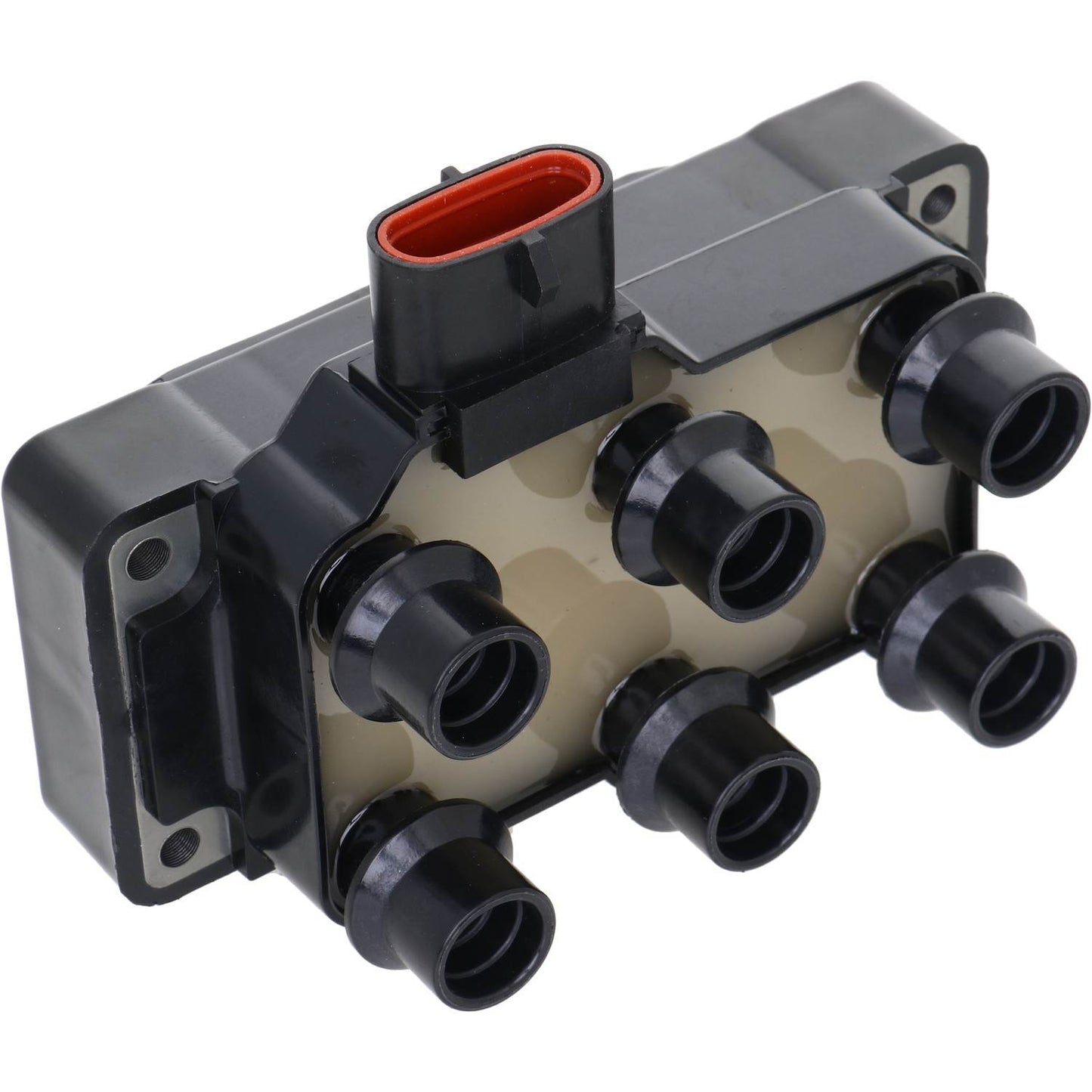 Holstein 2IGC0042