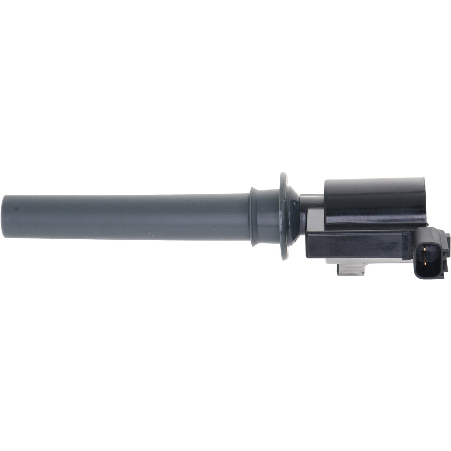 Holstein 2IGC0051
