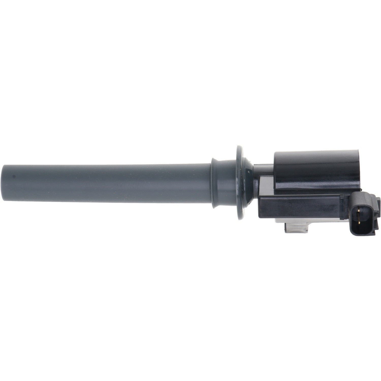 Holstein 2IGC0051