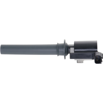 Holstein 2IGC0051