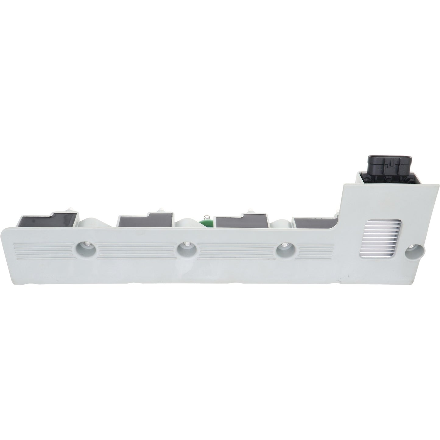 Holstein 2IGC0101