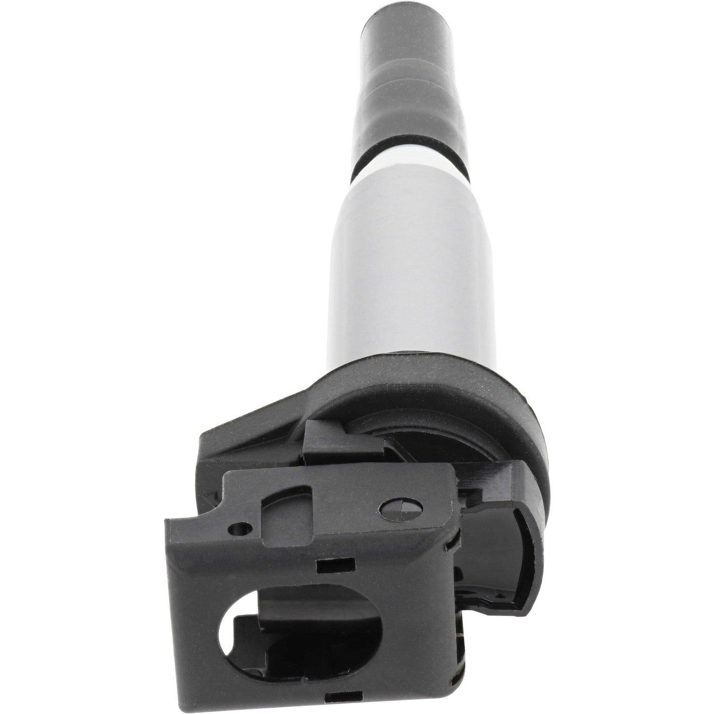 Holstein 2IGC0102
