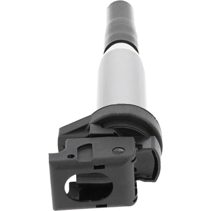 Holstein 2IGC0102