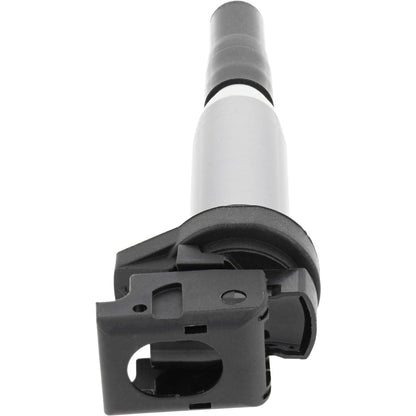 Holstein 2IGC0102