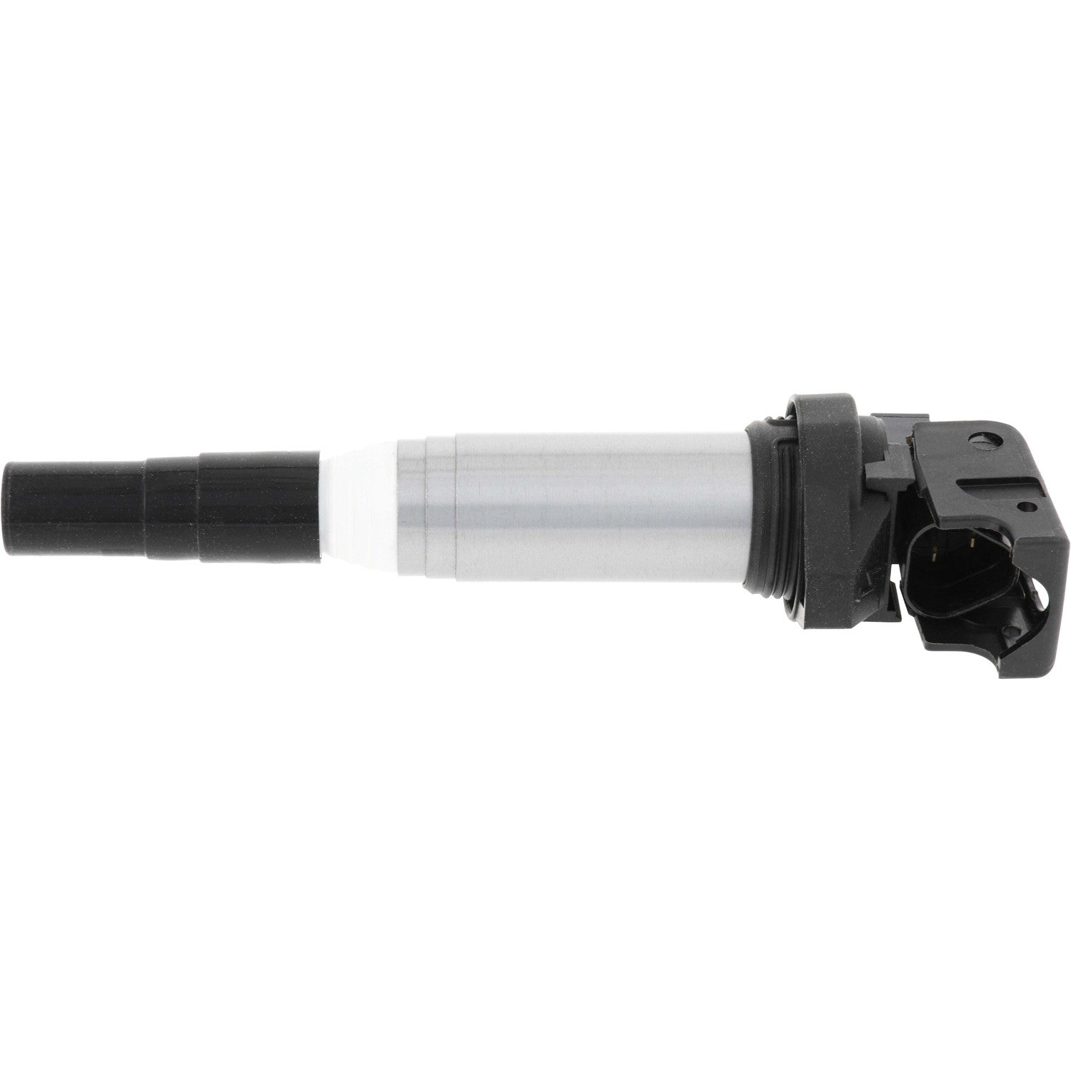 Holstein 2IGC0102