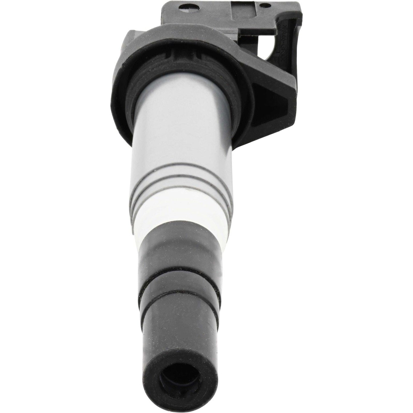 Holstein 2IGC0102