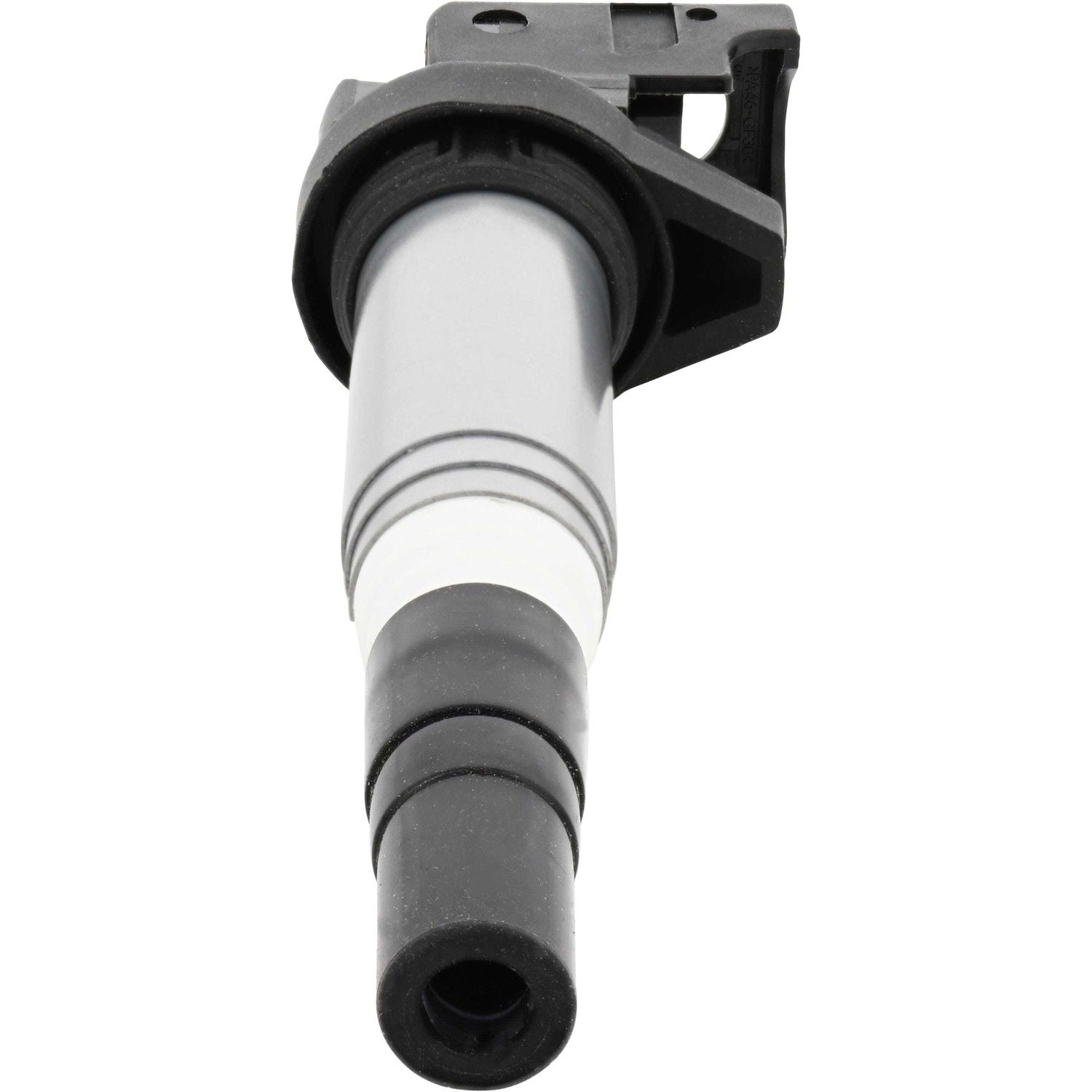 Holstein 2IGC0102