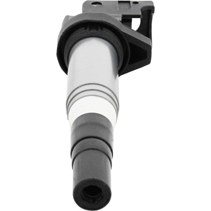 Holstein 2IGC0102