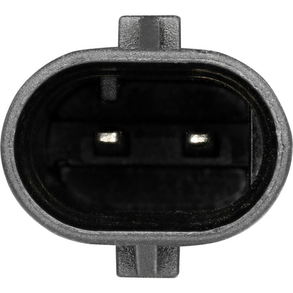 Holstein 2IGC0135
