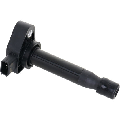 Holstein 2IGC0183