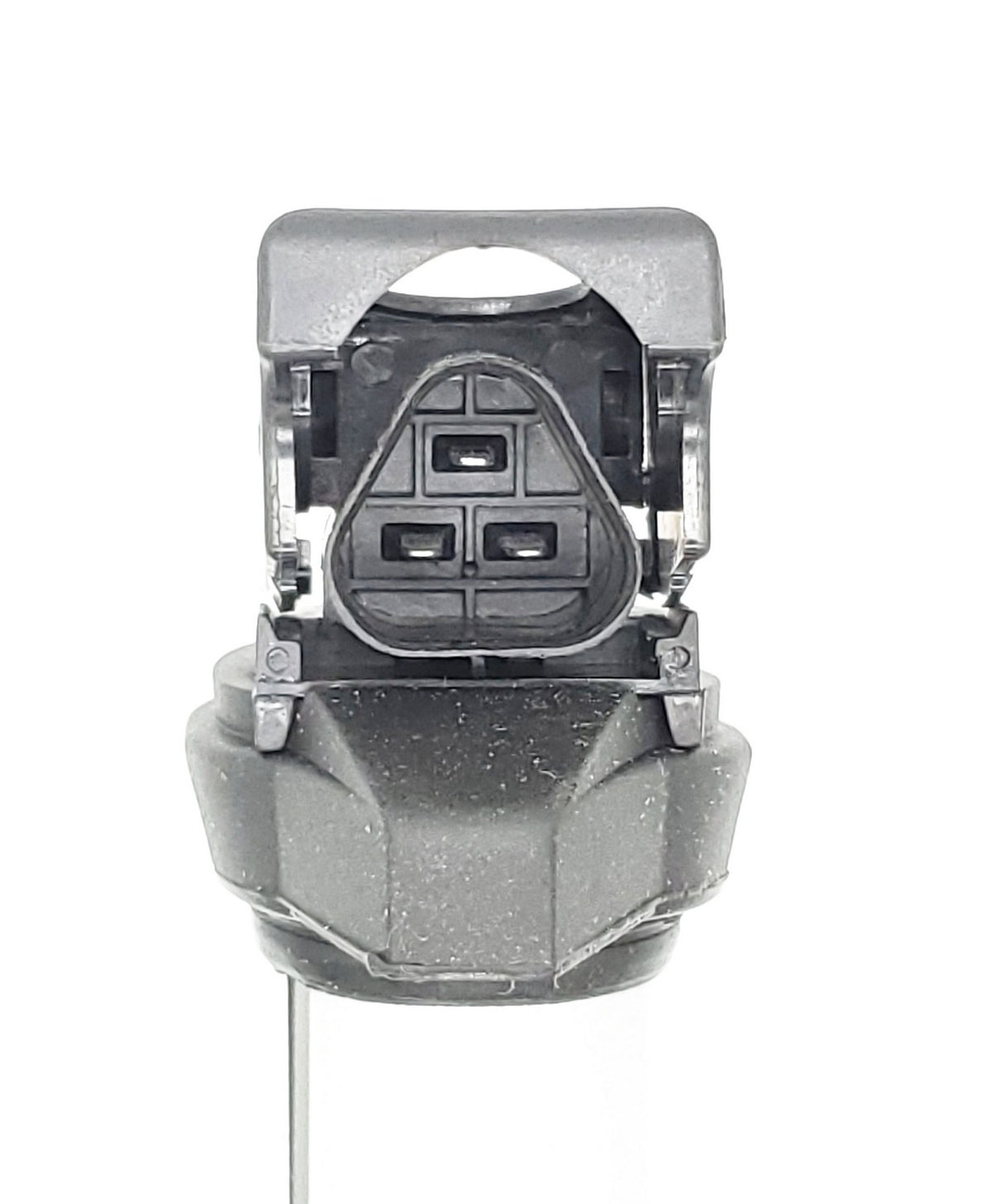 Holstein 2IGC0222