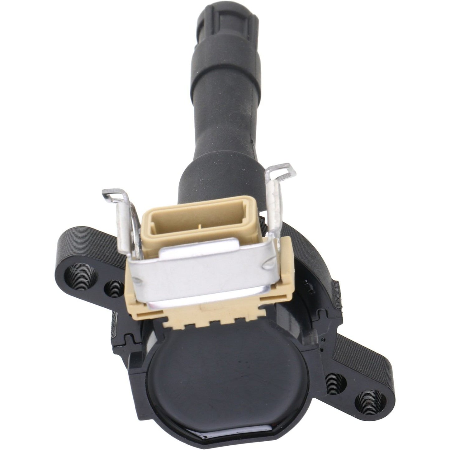 Holstein 2IGC0261