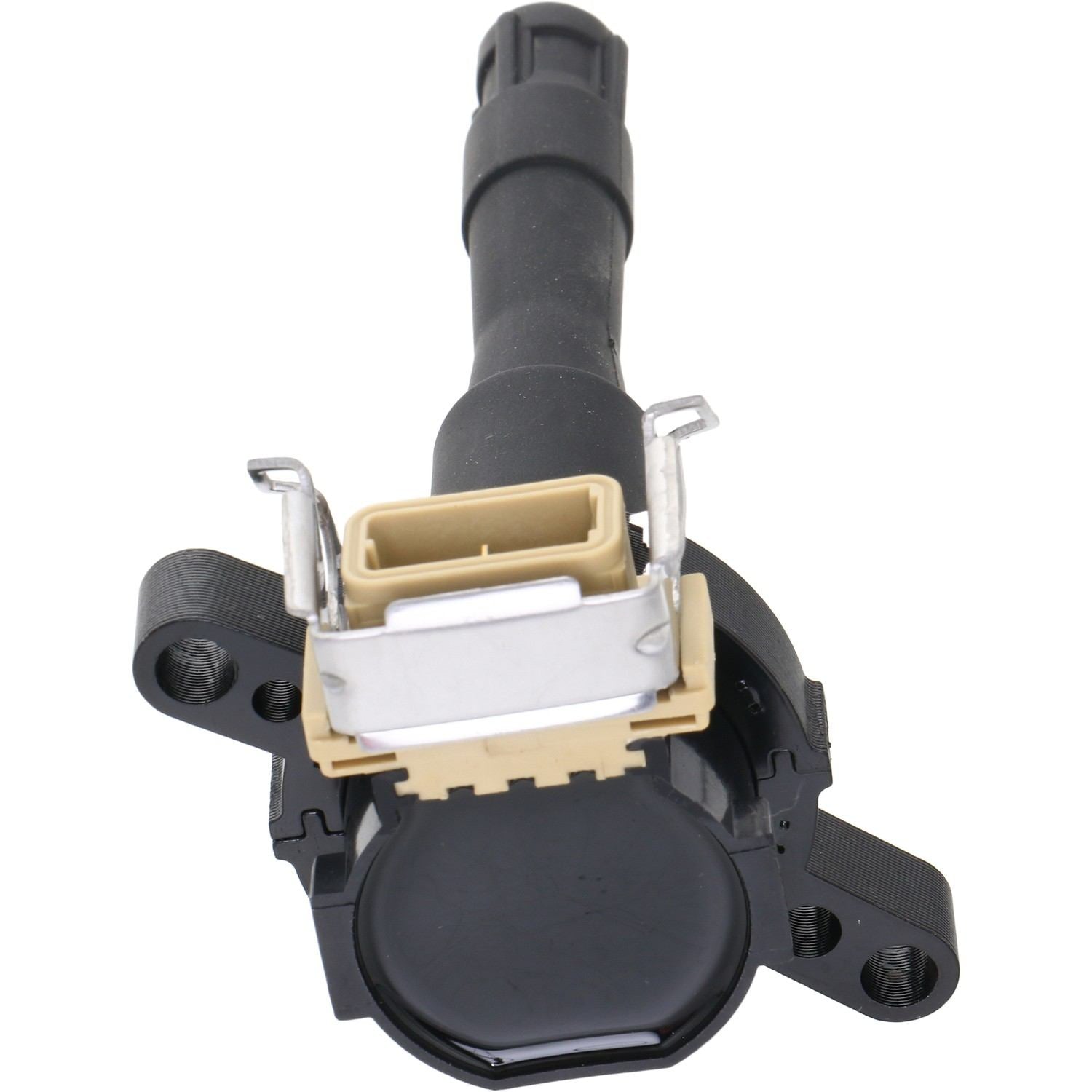Holstein 2IGC0261