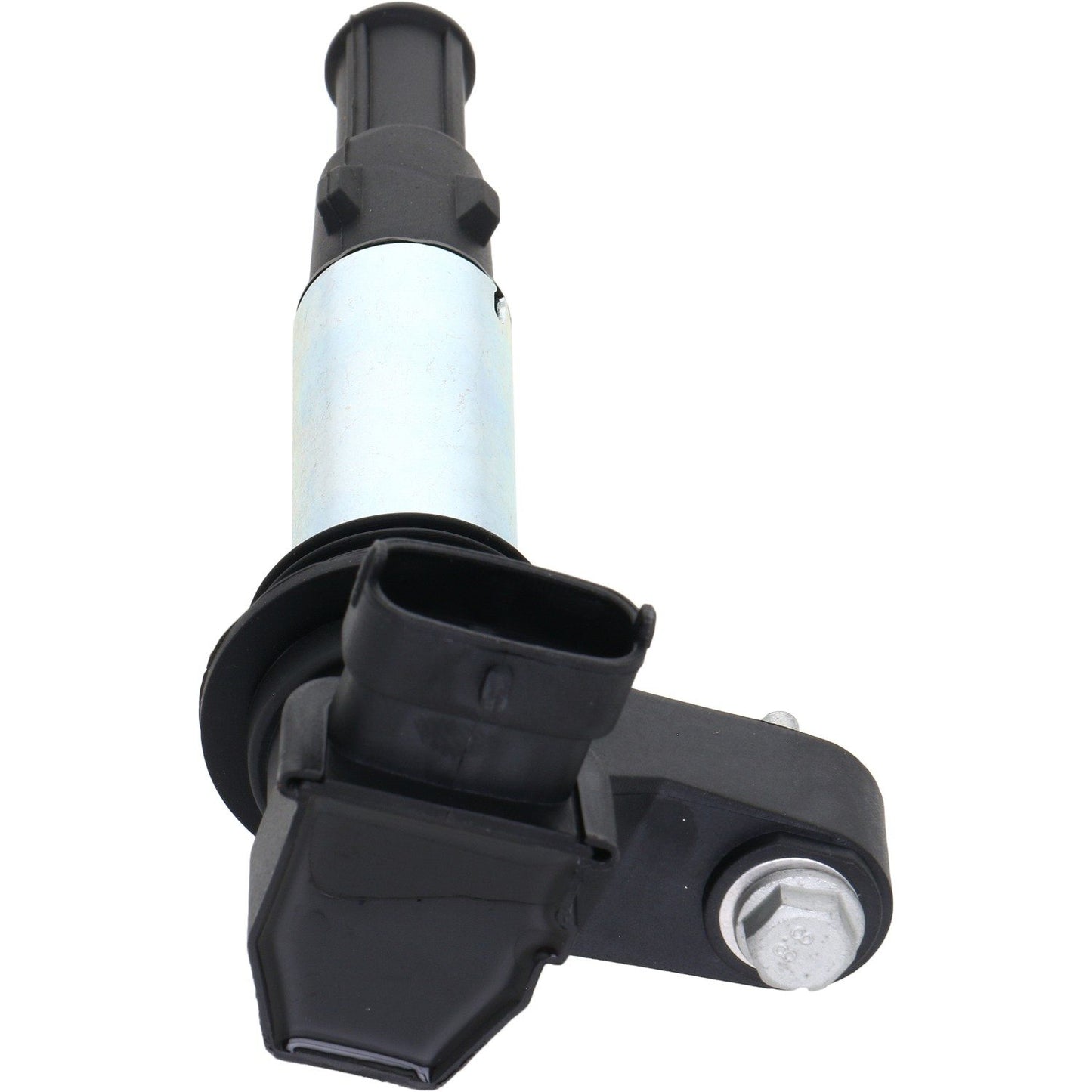 Holstein 2IGC0276