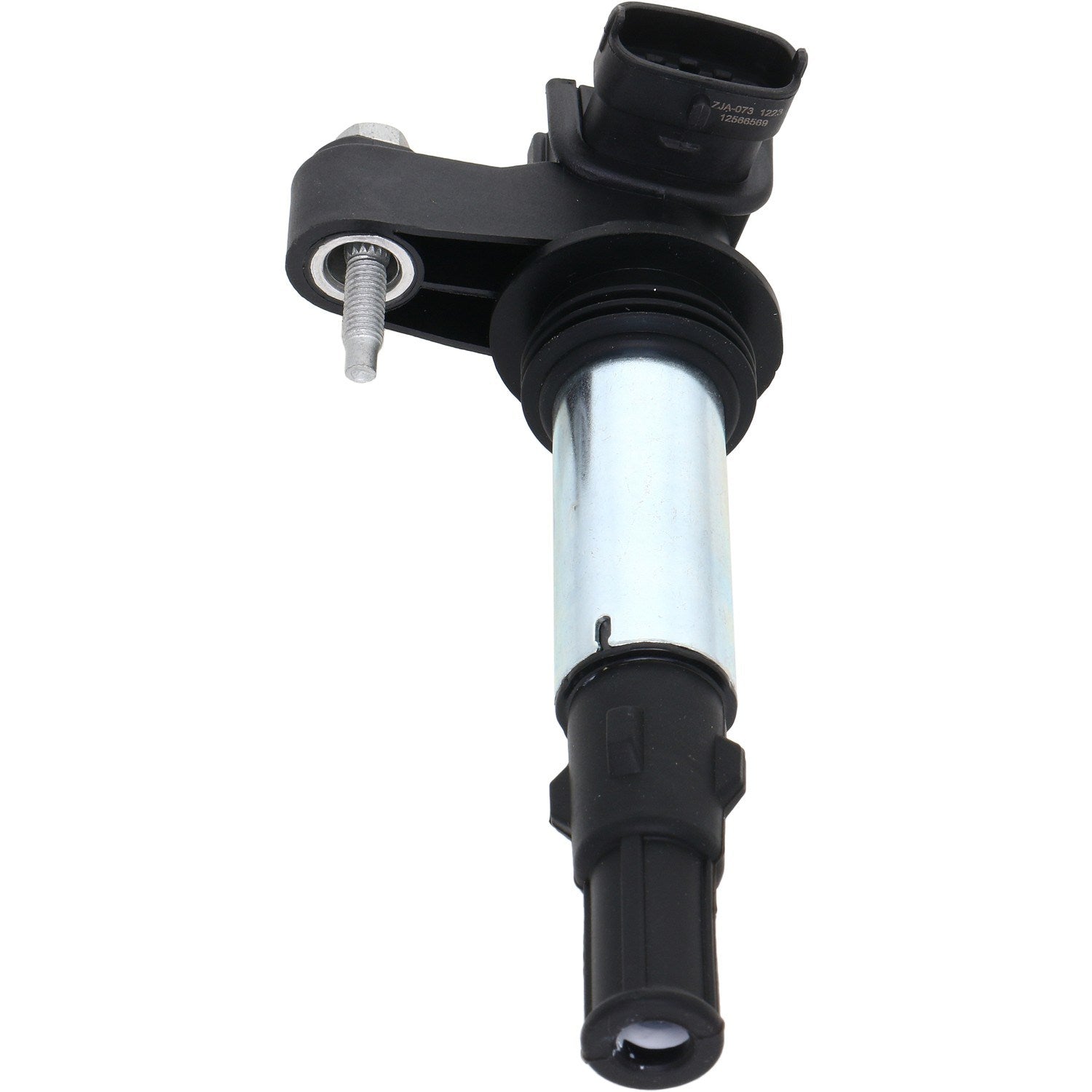 Holstein 2IGC0276