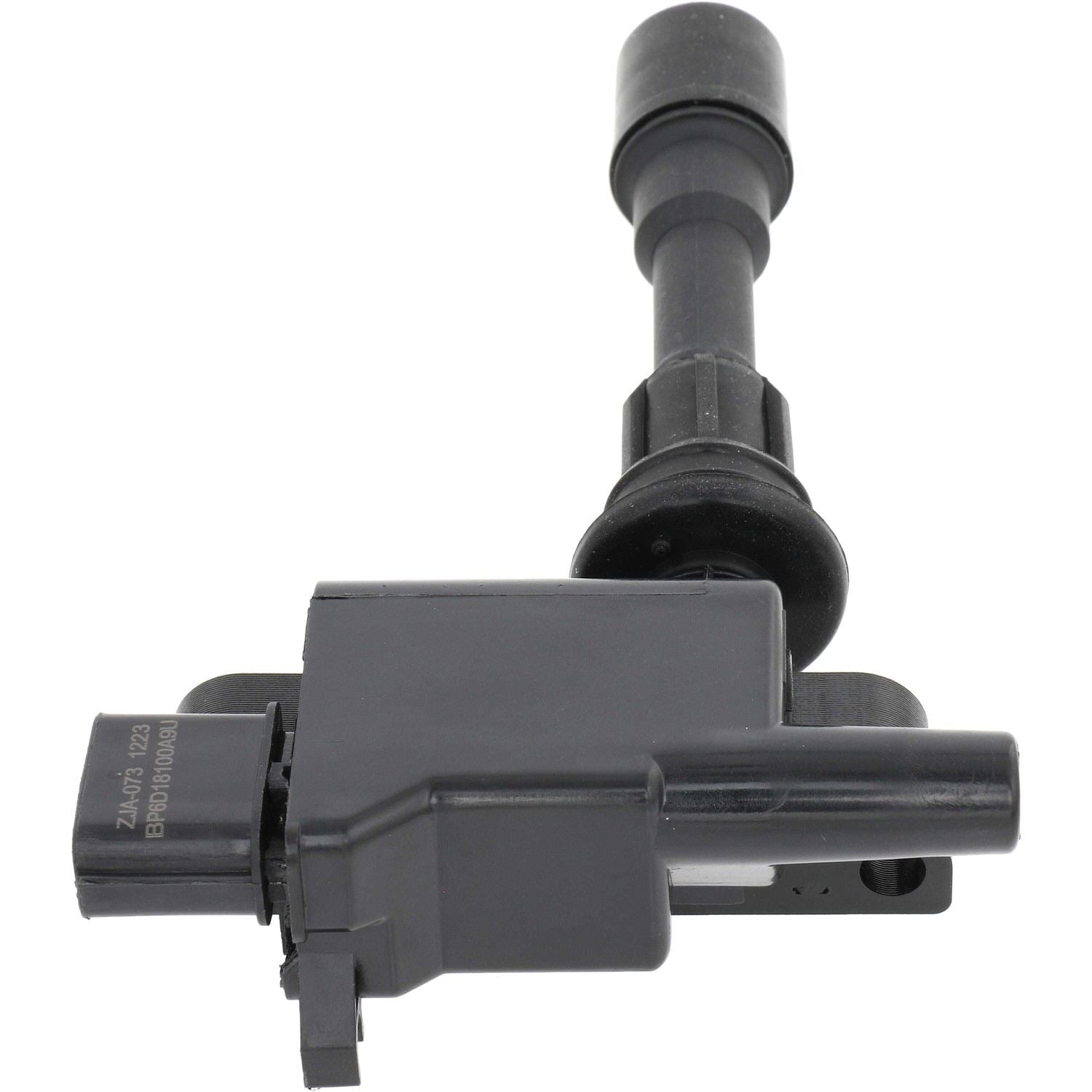 Holstein 2IGC0300