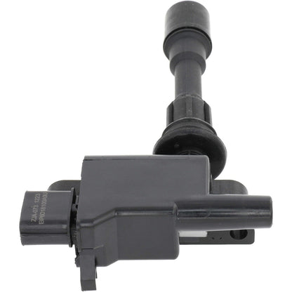 Holstein 2IGC0300