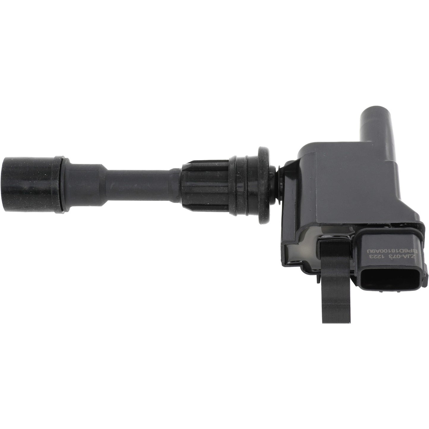 Holstein 2IGC0300