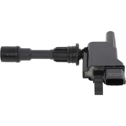 Holstein 2IGC0300