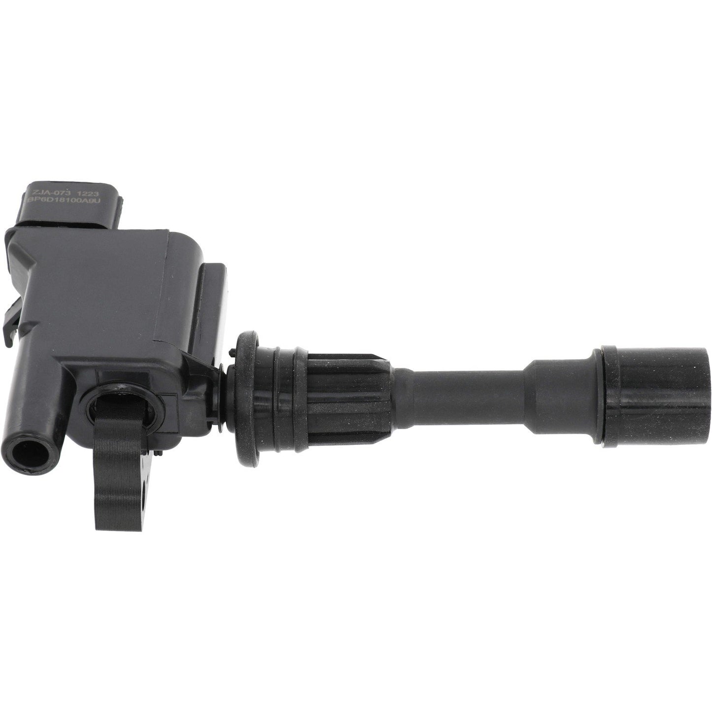 Holstein 2IGC0300