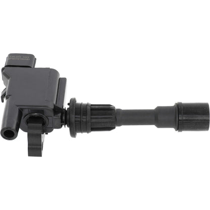 Holstein 2IGC0300