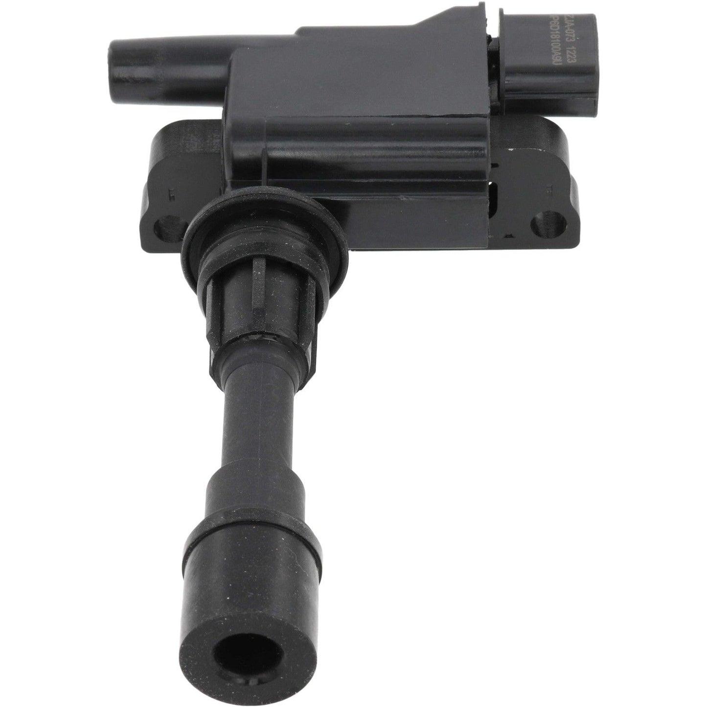 Holstein 2IGC0300