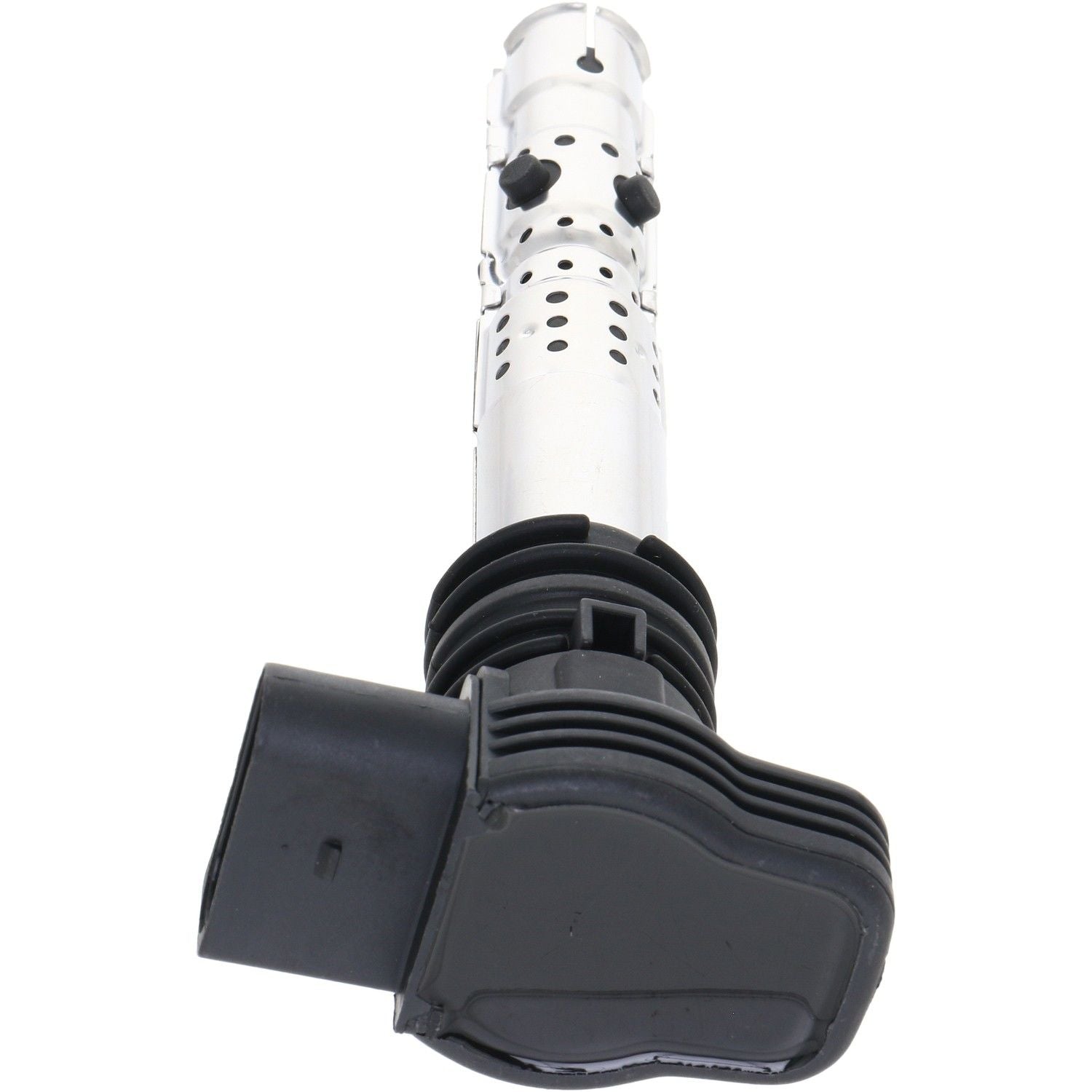 Holstein 2IGC0301