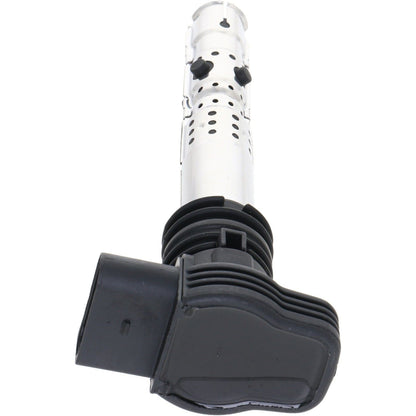 Holstein 2IGC0301