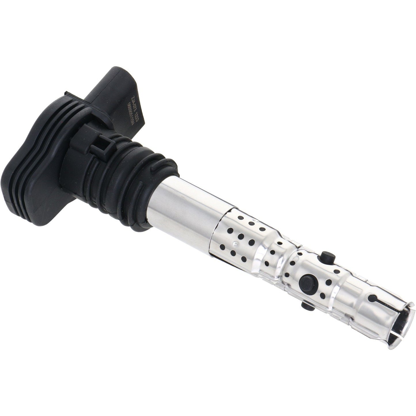 Holstein 2IGC0301