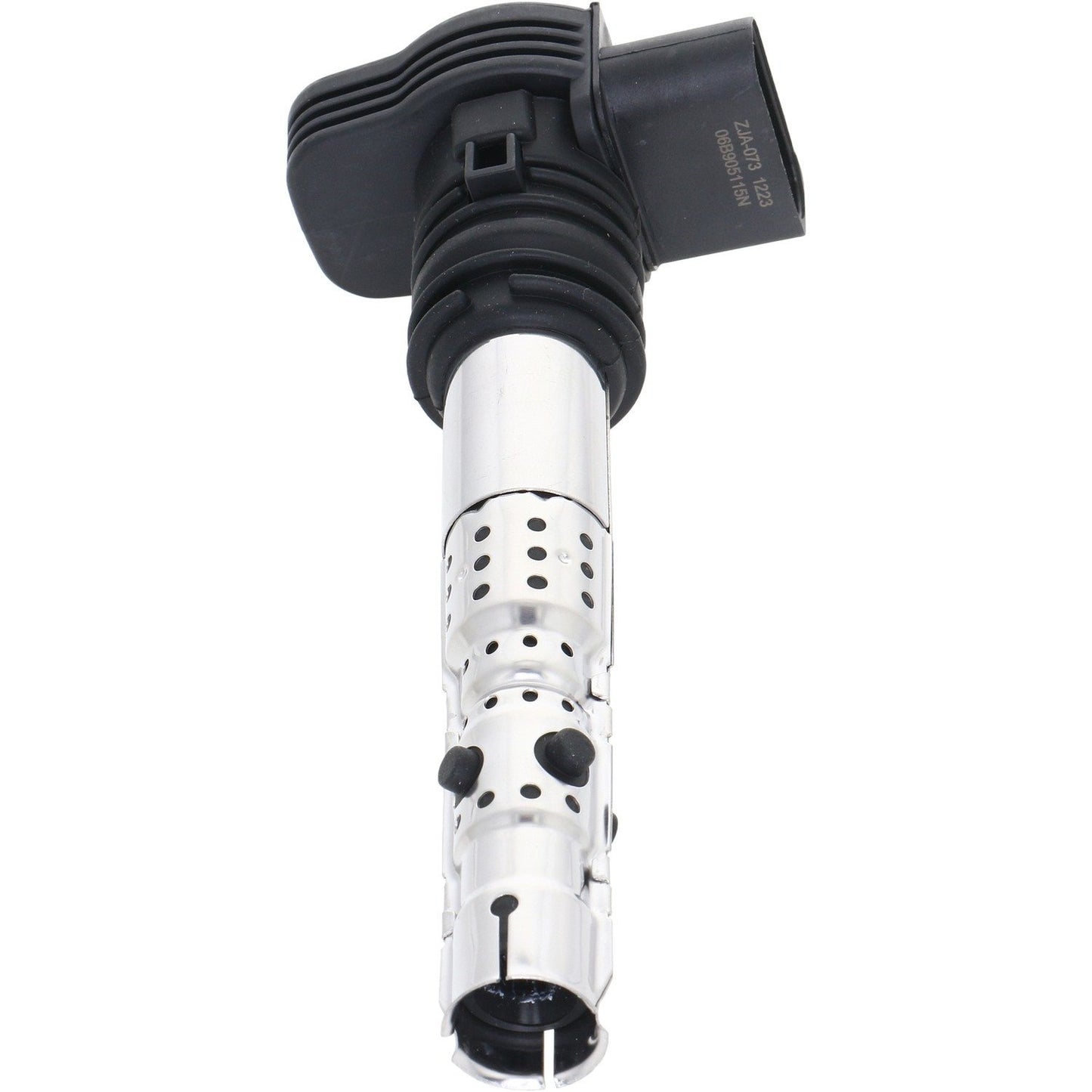 Holstein 2IGC0301