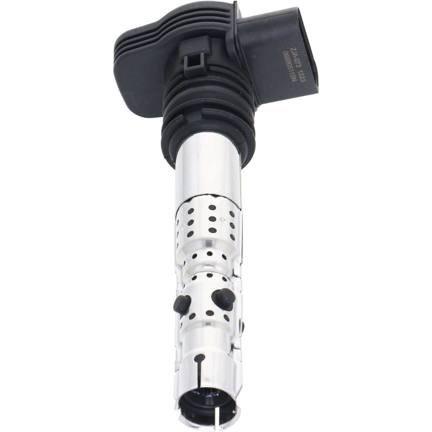 Holstein 2IGC0301