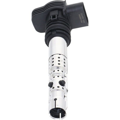 Holstein 2IGC0301