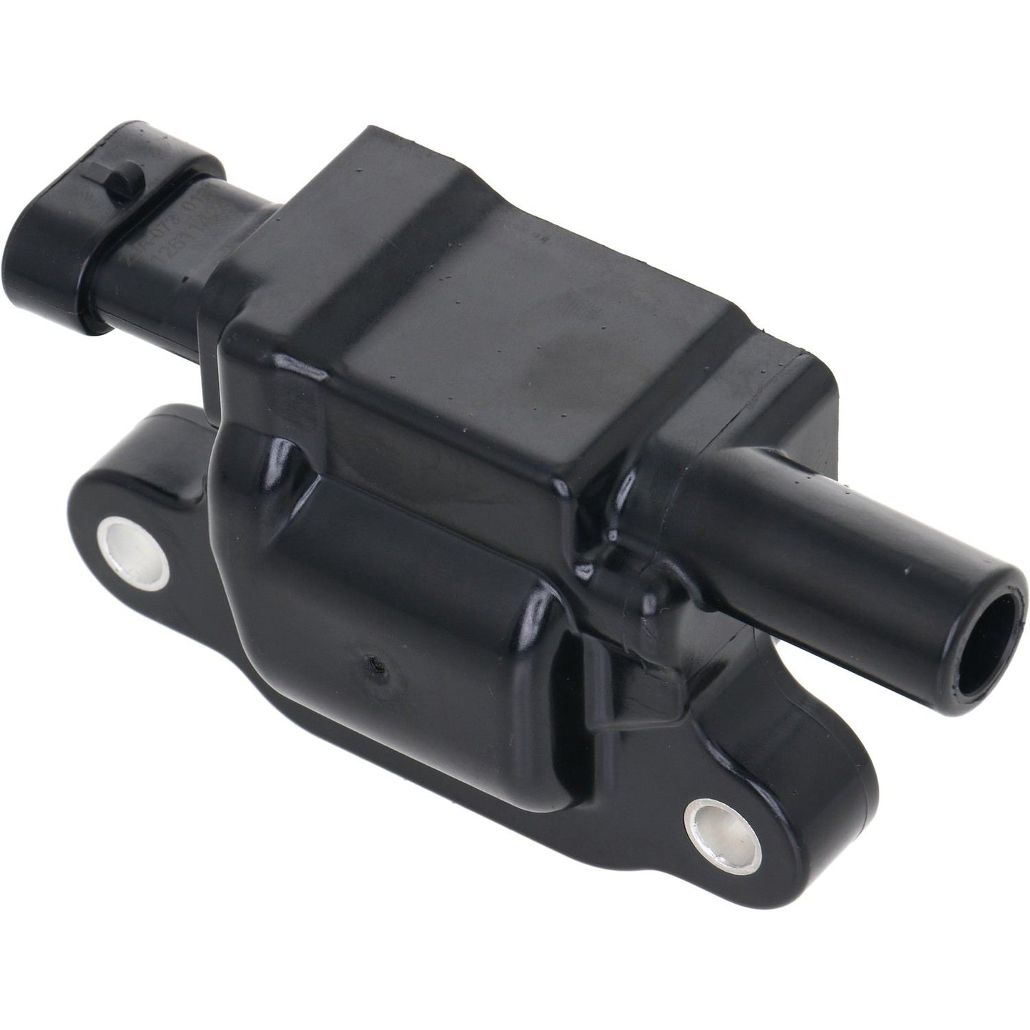Holstein 2IGC0303