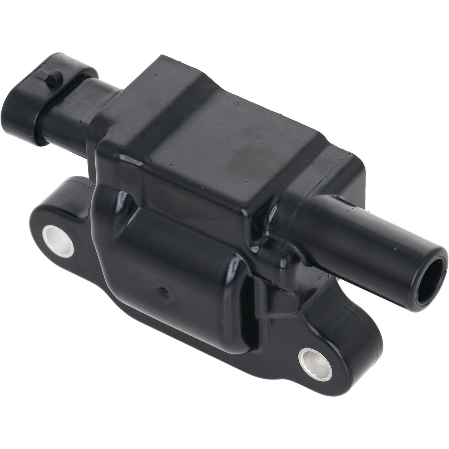 Holstein 2IGC0303