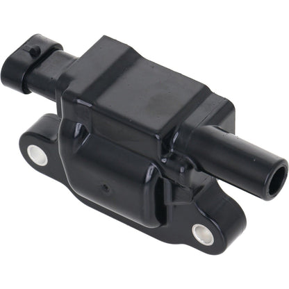 Holstein 2IGC0303