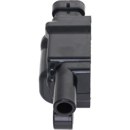 Holstein 2IGC0303
