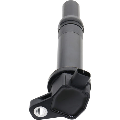 Holstein 2IGC0340