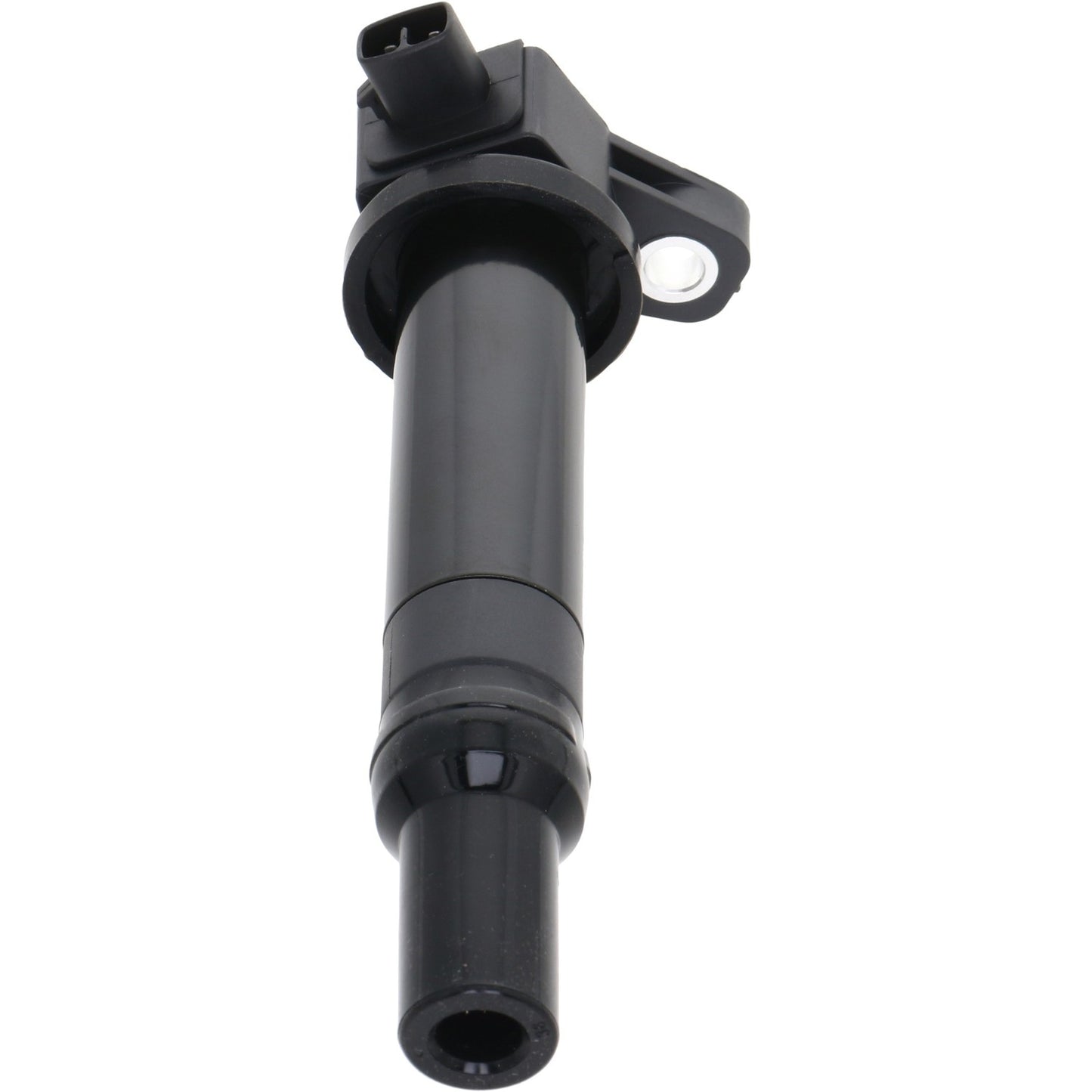 Holstein 2IGC0340