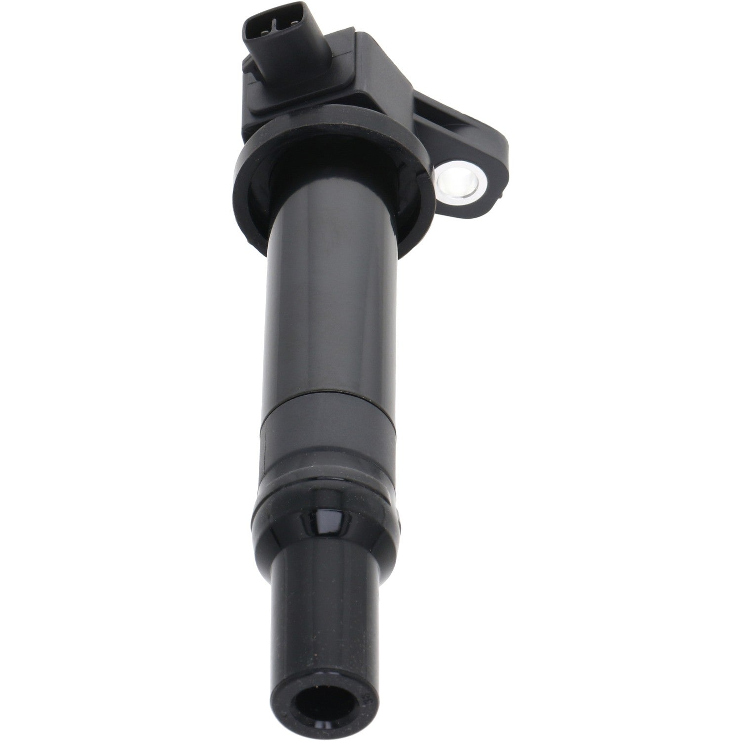Holstein 2IGC0340