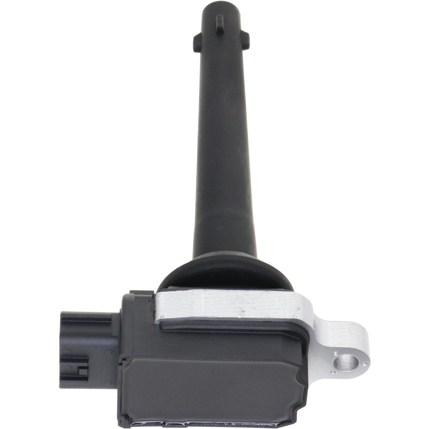 Holstein 2IGC0410