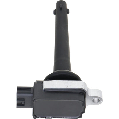 Holstein 2IGC0410