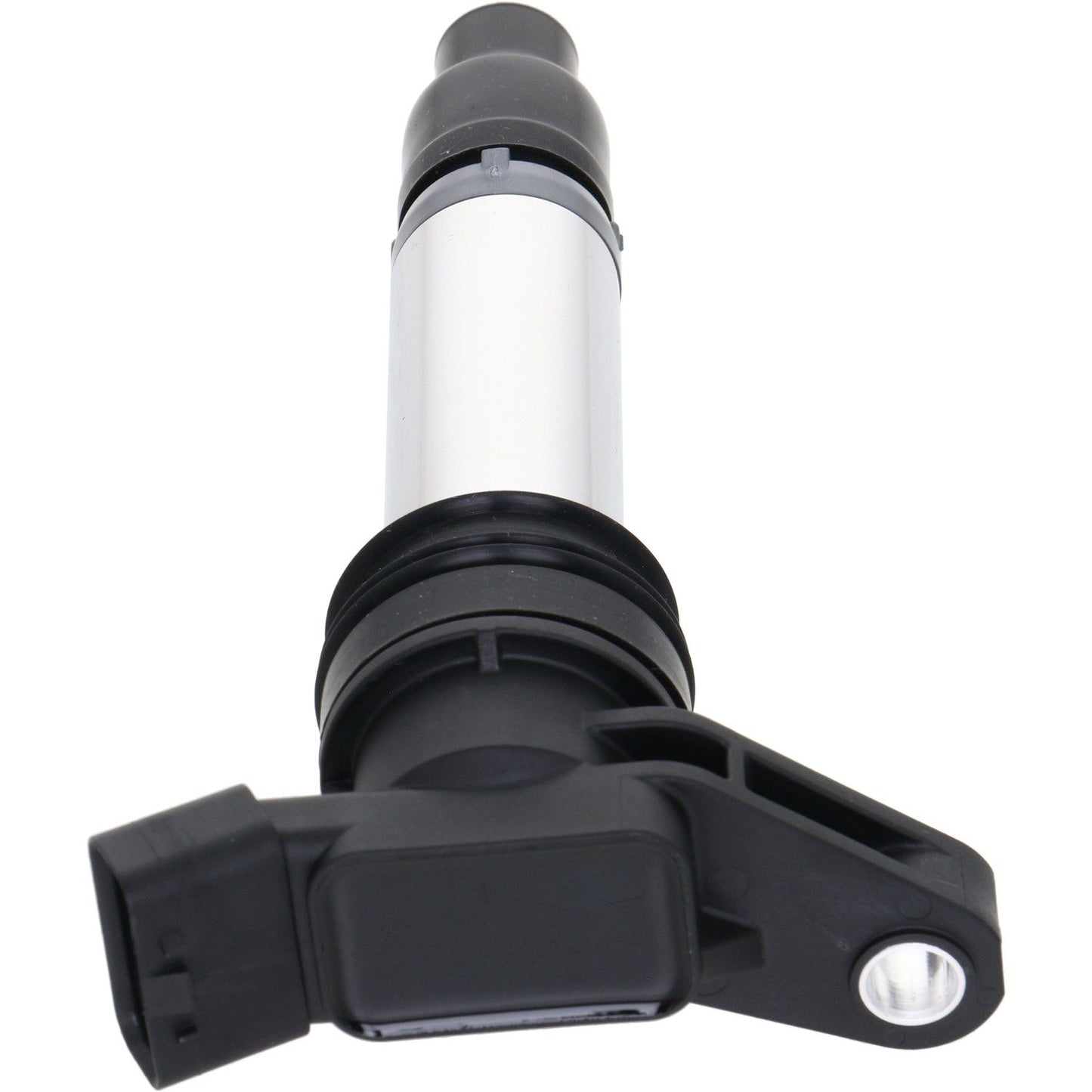 Holstein 2IGC0412