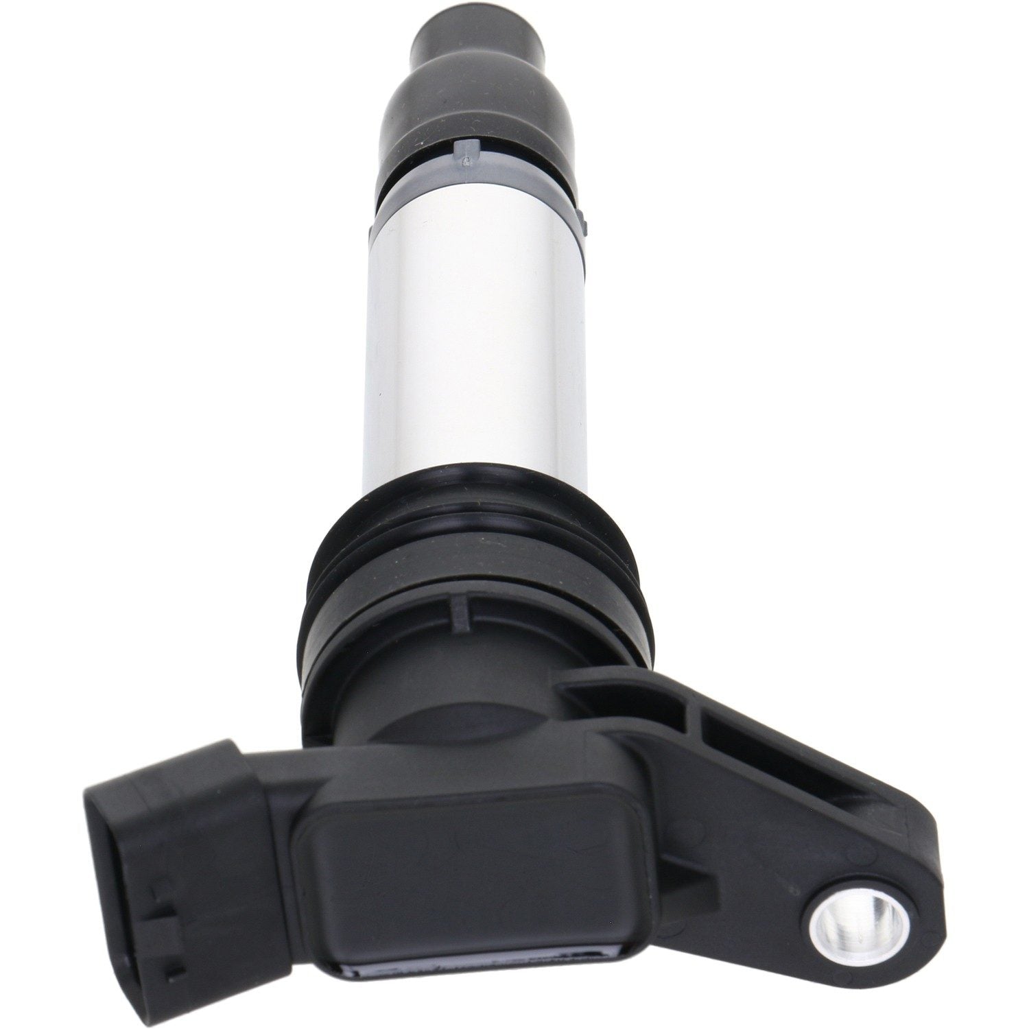 Holstein 2IGC0412
