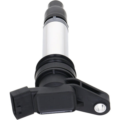 Holstein 2IGC0412