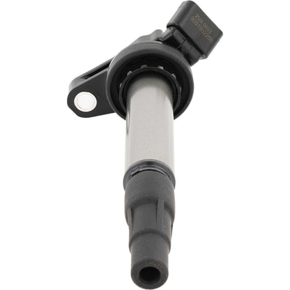 Holstein 2IGC0413