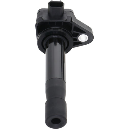 Holstein 2IGC0420