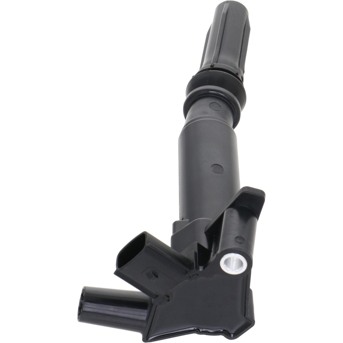 Holstein 2IGC0441